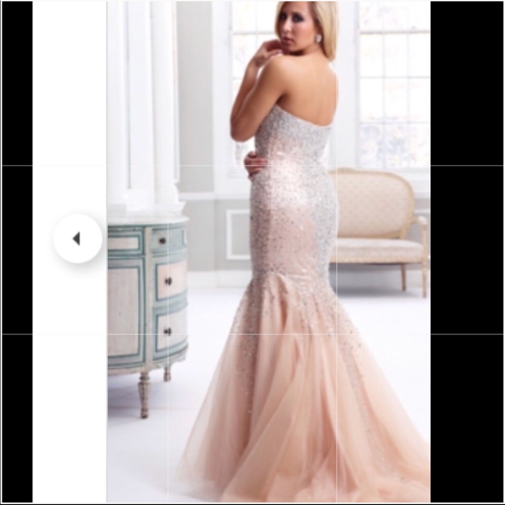 Terani prom dress